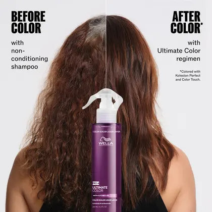 Ultimate Color Color Sealer Liquid Layer Spray
