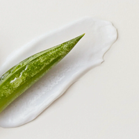 Thumbnail for Fast Food Leave On Conditioner