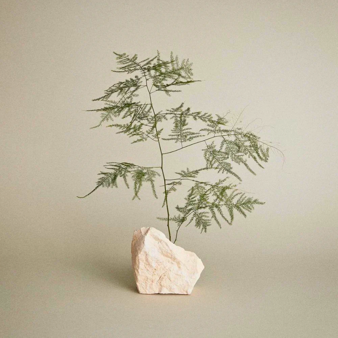 ティーツリー ファームホールドジェル 75ml / 2.5oz