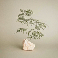 Thumbnail for ティーツリー ファームホールドジェル 75ml / 2.5oz