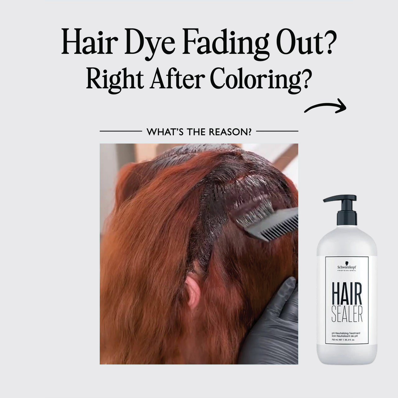 Hair Sealer pH Neutralizing Treatment