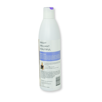 Thumbnail for Toning Shampoo