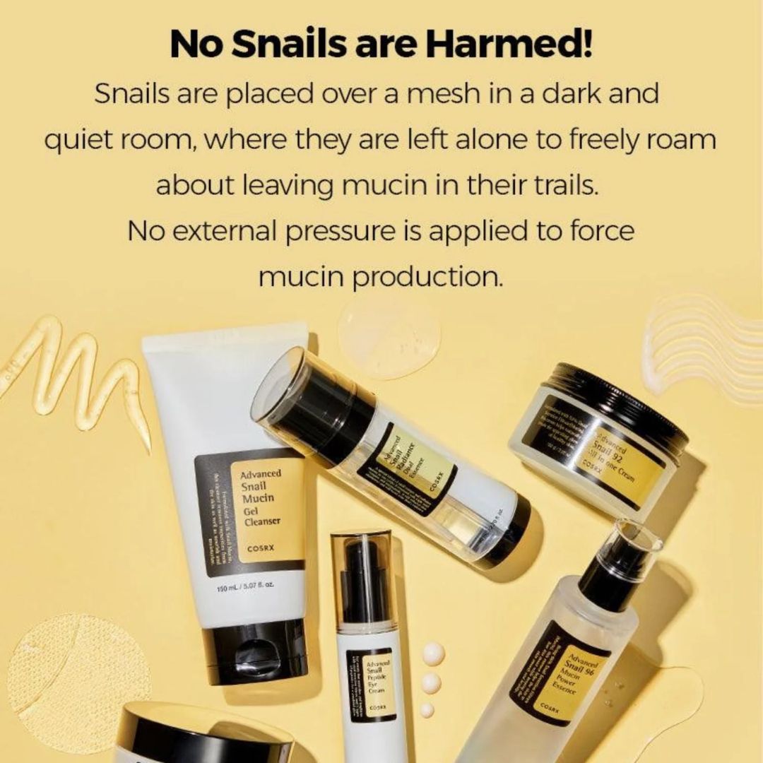 한국 브랜드의 해외 아마존 판매 성공 사례