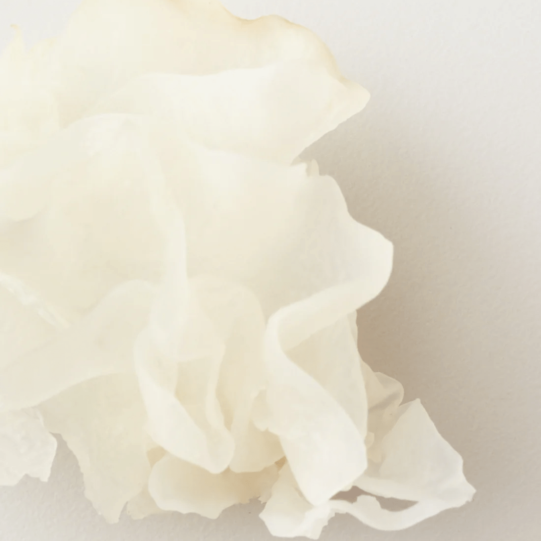 AG_Nourish Moisture Mask_Cosmetic World