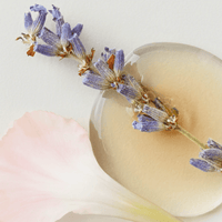 Thumbnail for AG_Sterling Silver Toning Conditioner_Cosmetic World