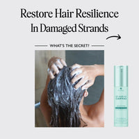 Thumbnail for Alterna_My Hair My Canvas Jelly Fix Repair Booster_Cosmetic World