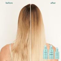 Thumbnail for Alterna_My Hair My Canvas Me Time Everyday Gift Set_Cosmetic World