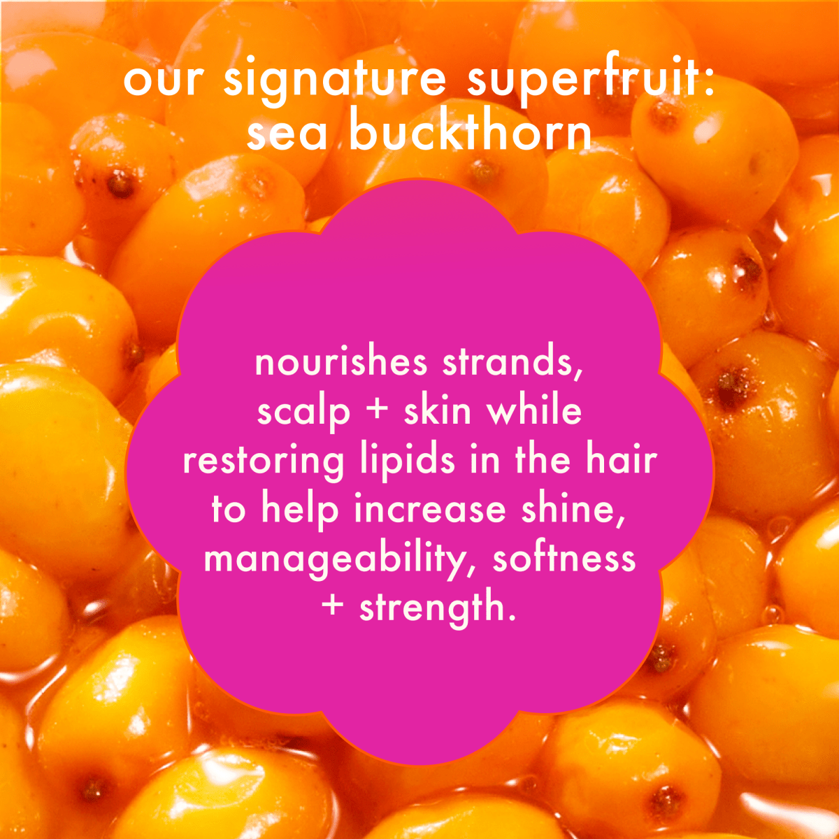 Amika:_Superfruit Star Lightweight Hair Styling Oil_Cosmetic World