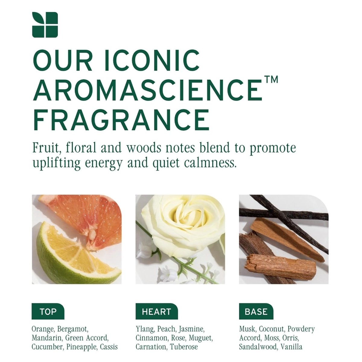 Biolage_Gelee Styler_Cosmetic World