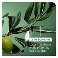 Thumbnail for Biolage_Strength Recovery Conditioner_Cosmetic World