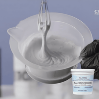 Thumbnail for Clairol_Kaleidocolors Clear Ice Blue Tonal Powder Lightener_Cosmetic World