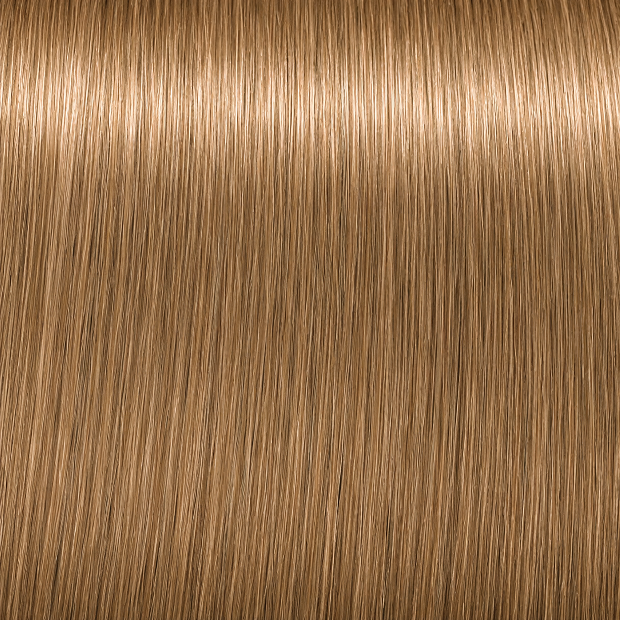 Color Fusion 8Gb Color Crema ORO/beige
