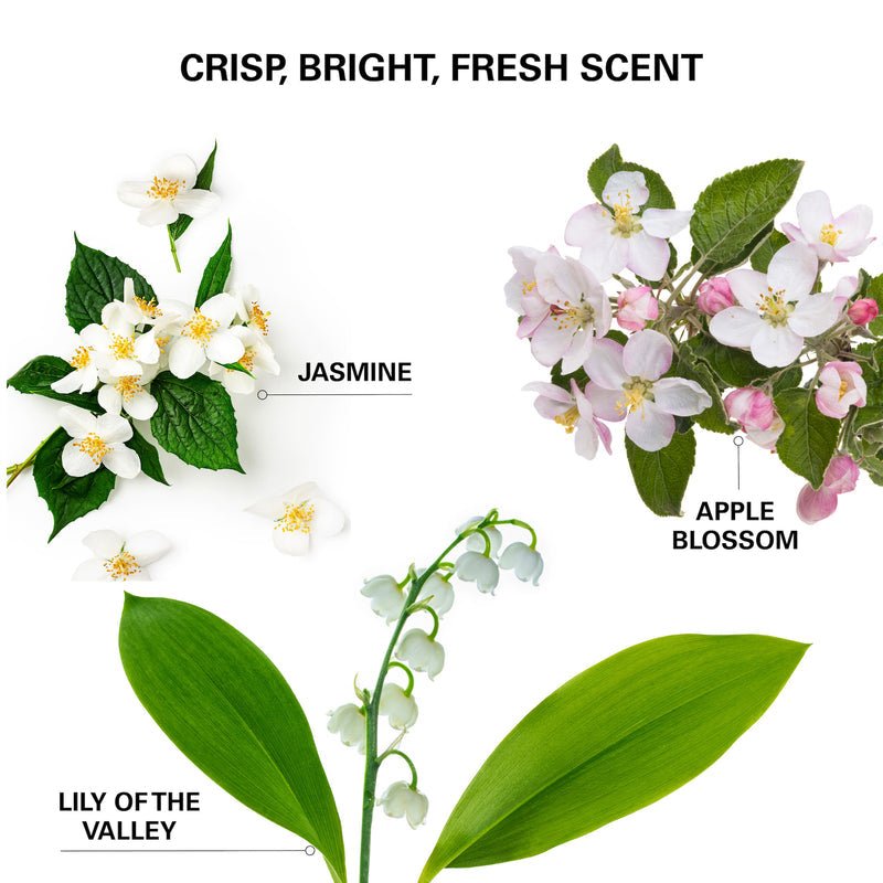 COLOR WOW_Insta - Wow Advanced Dry Shampoo_Cosmetic World