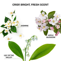 Thumbnail for COLOR WOW_Insta - Wow Advanced Dry Shampoo_Cosmetic World