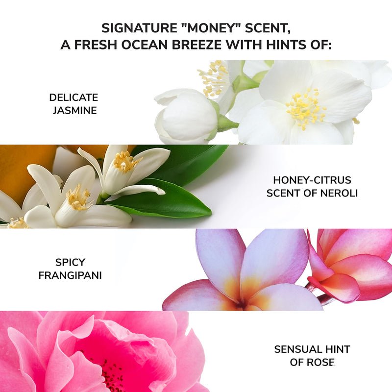 Color Wow_Money Laundering Glossing Conditioner_Cosmetic World