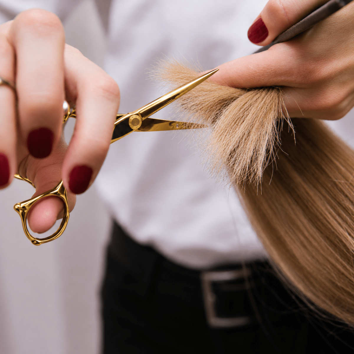Cosmetic World_Hair Cutting Scissors 5.5"_Cosmetic World