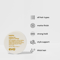 Thumbnail for EVO_Cassius Styling Clay_Cosmetic World