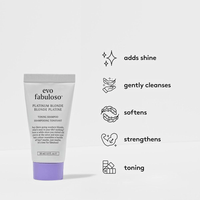 Thumbnail for EVO_Platinum Blonde Colour Boosting Treatment_Cosmetic World