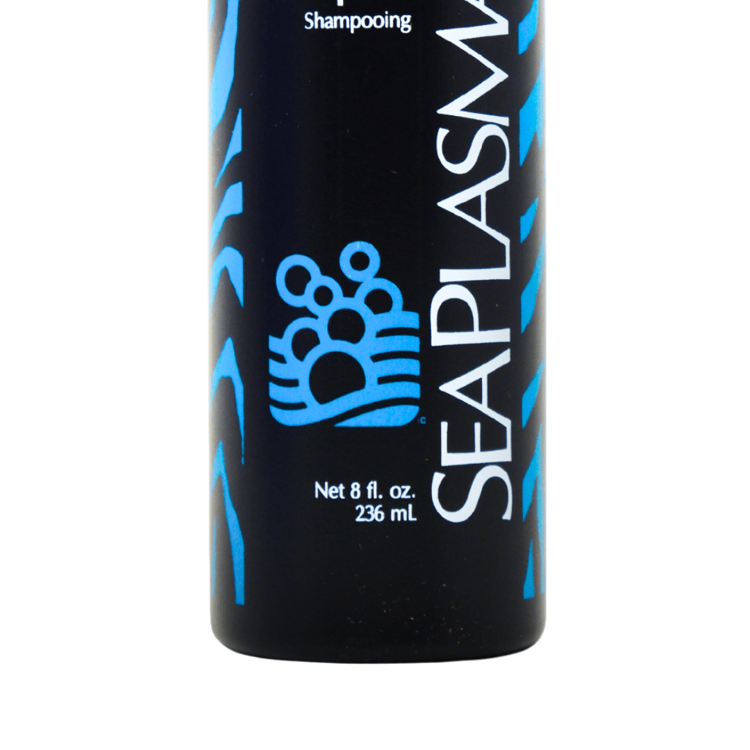 Focus 21_Sea Plasma Shampoo_Cosmetic World