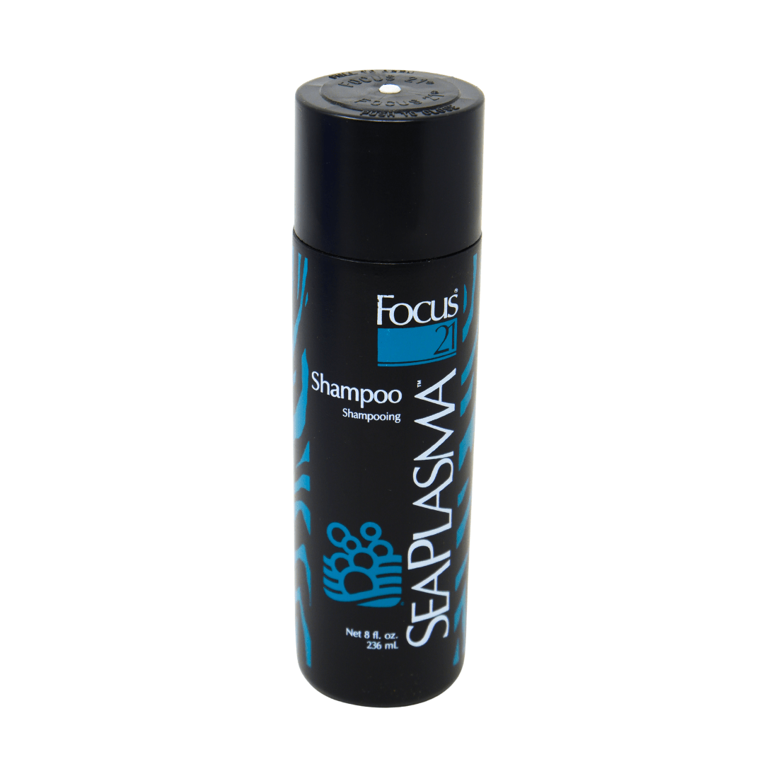 Focus 21_Sea Plasma Shampoo_Cosmetic World