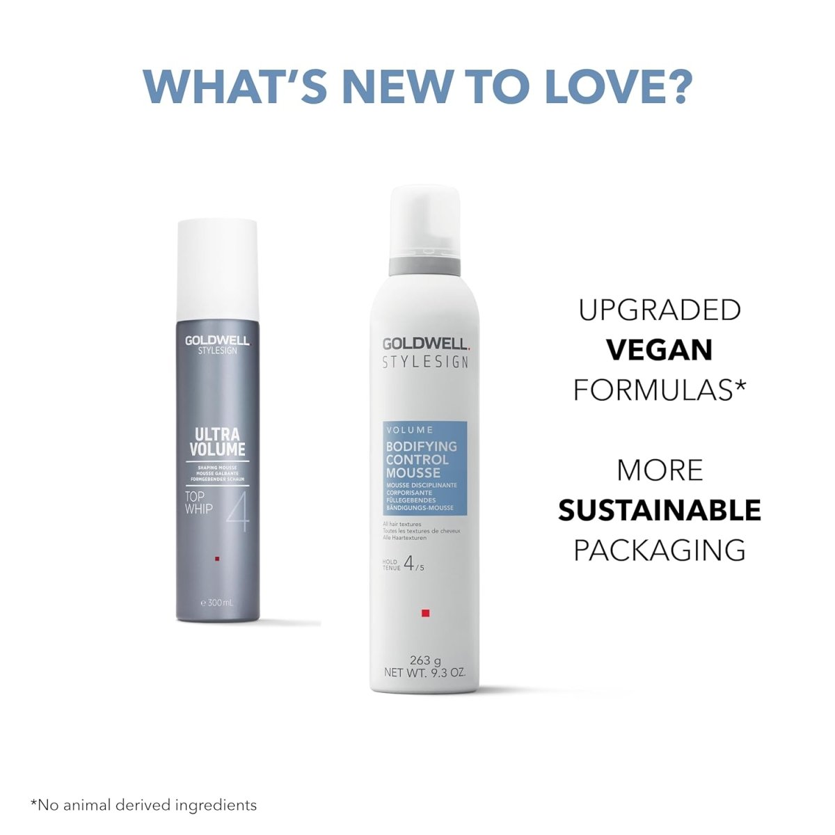 GOLDWELL_Bodifying Control Mousse_Cosmetic World
