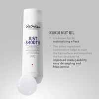 Thumbnail for Goldwell - Dualsenses_Just Smooth Taming Shampoo_Cosmetic World