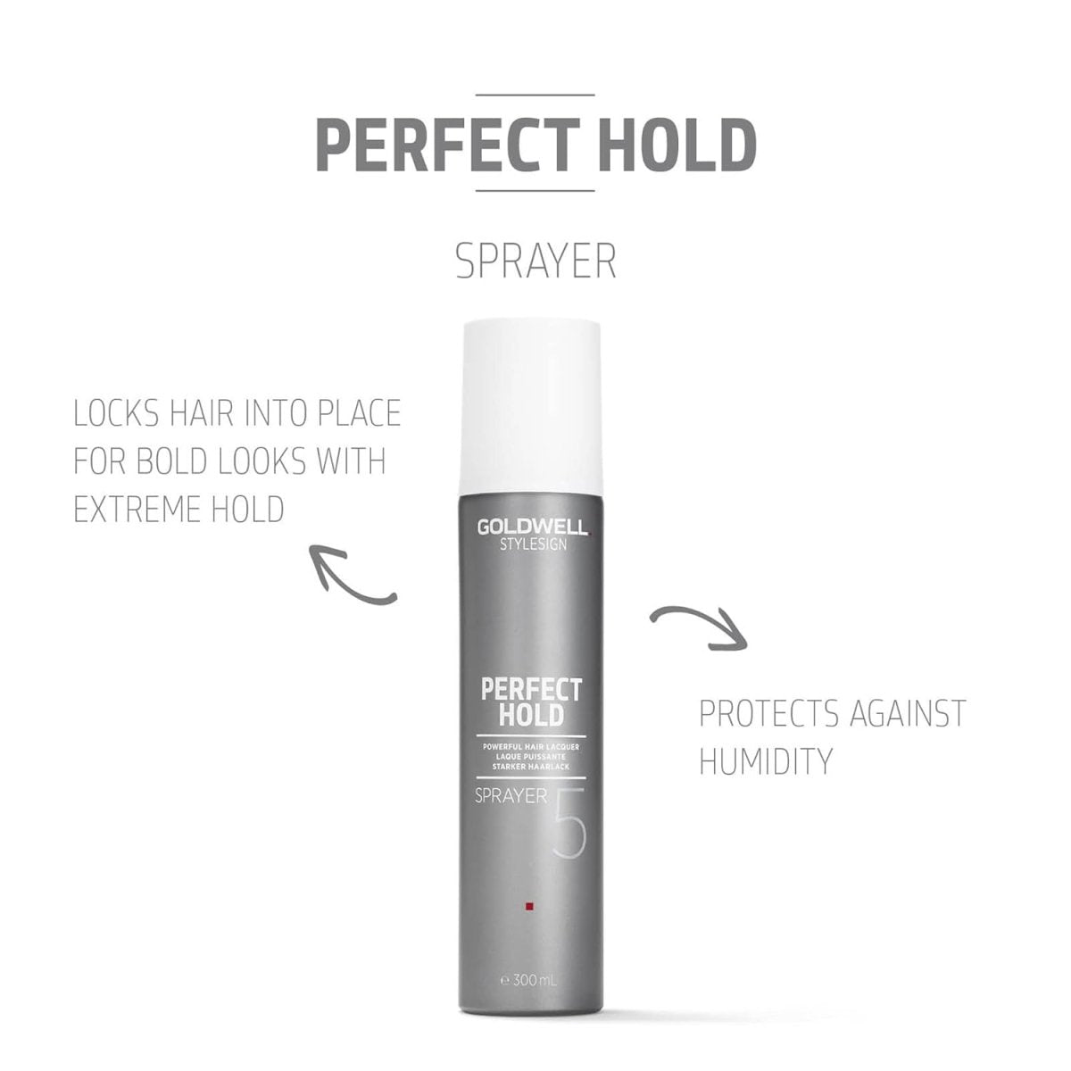 GOLDWELL_Perfect Hold Powerful Hairspray_Cosmetic World