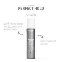 Thumbnail for GOLDWELL_Perfect Hold Powerful Hairspray_Cosmetic World