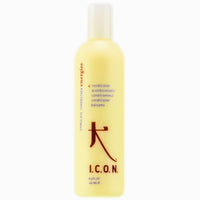 Thumbnail for ICON_Energize Conditioner_Cosmetic World