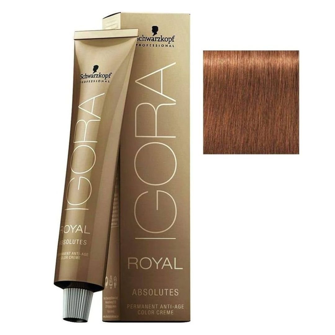 SCHWARZKOPF - IGORA ROYAL_Igora Royal Absolutes 7 - 710 Medium Blonde Copper Cendré_Cosmetic World