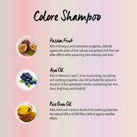 Thumbnail for Kaaral_Purify Color Protection Shampoo_Cosmetic World