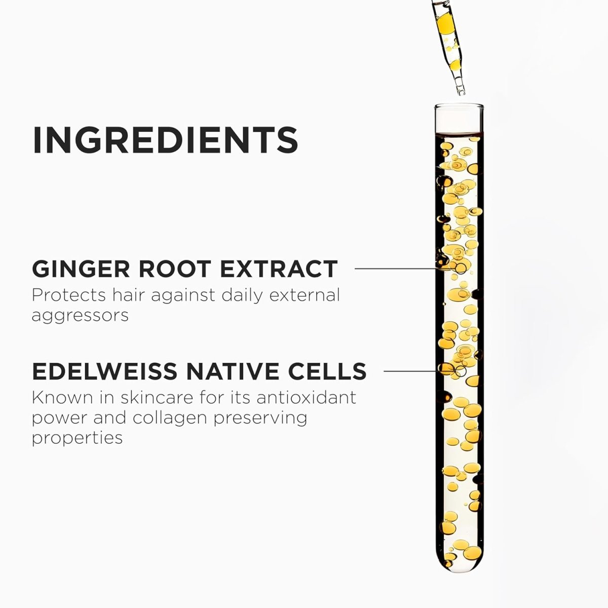 KERASTASE_K Genesis Bain Nutri - Fortifiant Anti Hair - fall Fortifying Shampoo_Cosmetic World