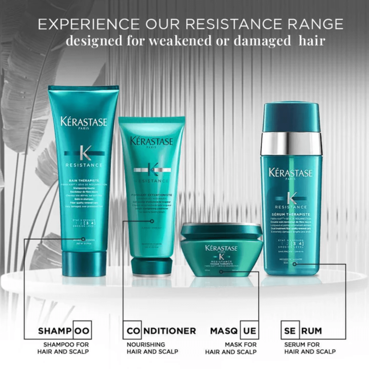 Kerastase_Resistance Bain Therapiste Balm-in-Shampoo_Cosmetic World