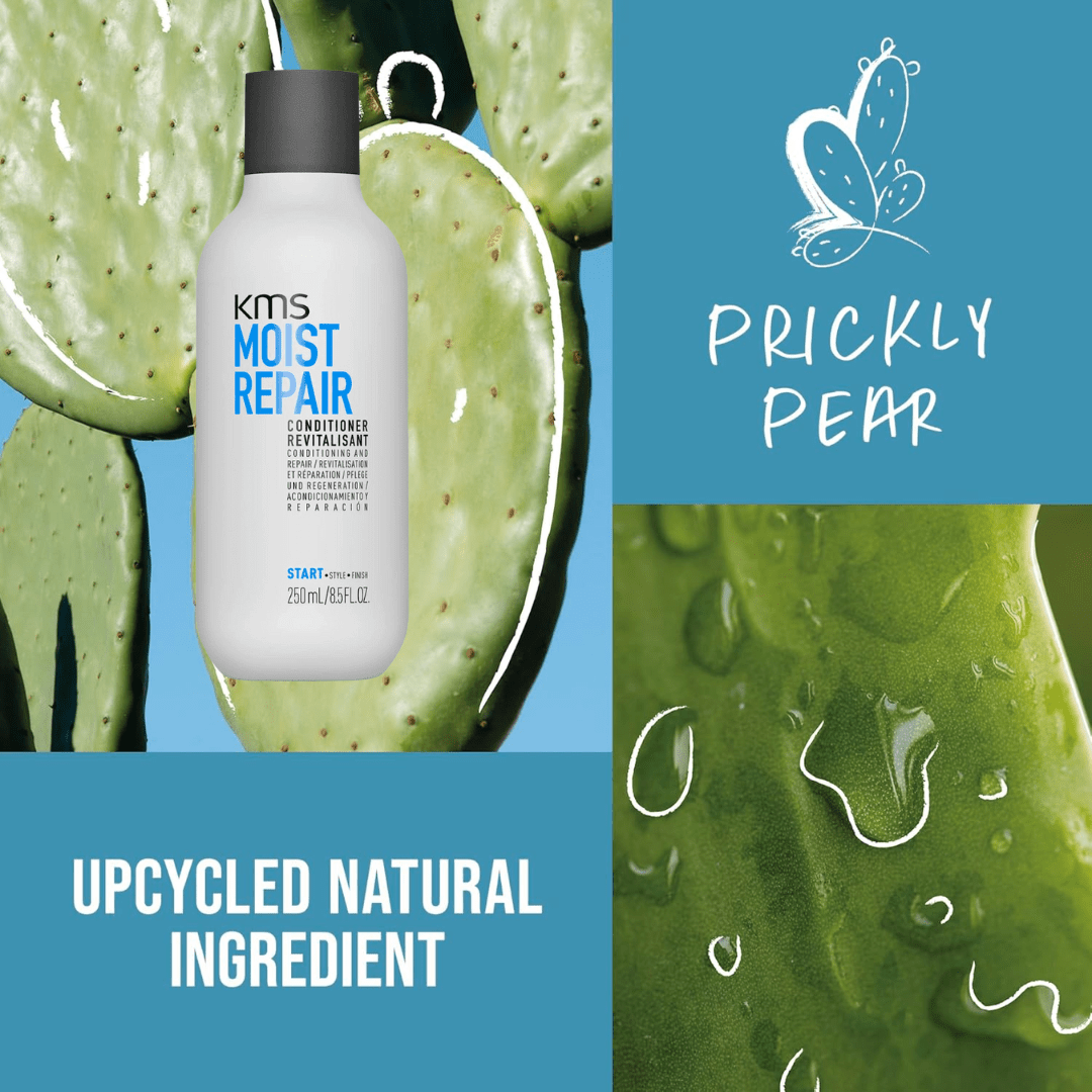 KMS_Moist Repair Conditioner_Cosmetic World