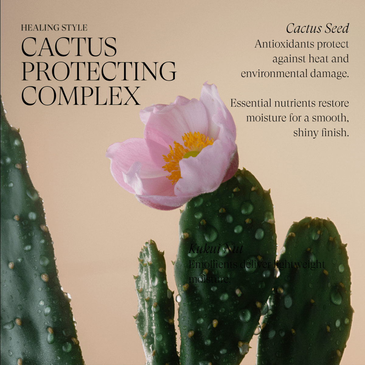 LANZA_Healing Style Texture Cream_Cosmetic World