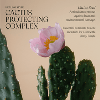 Thumbnail for LANZA_Healing Style Texture Cream_Cosmetic World