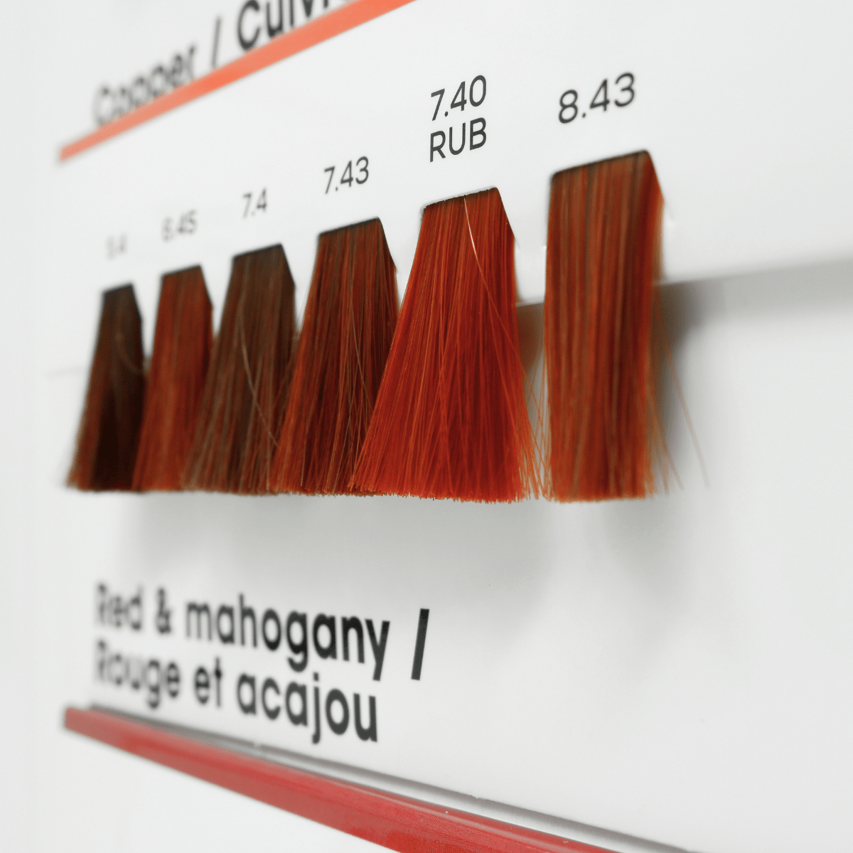 L'OREAL - MAJIREL_Majirel Hair Color Chart and Swatchbook_Cosmetic World