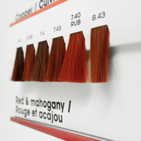 Thumbnail for L'OREAL - MAJIREL_Majirel Hair Color Chart and Swatchbook_Cosmetic World