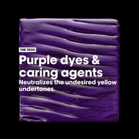 Thumbnail for L'OREAL PROFESSIONNEL_Vitamino Color Spectrum Purple Shampoo_Cosmetic World
