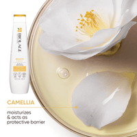 Thumbnail for Matrix - Biolage_Biolage Smooth Proof Shampoo_Cosmetic World