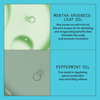 Thumbnail for NIOXIN_System 3 Scalp + Hair Conditioner_Cosmetic World