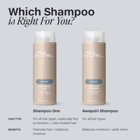 Thumbnail for Paul Mitchell_Awapuhi Shampoo Original Wash_Cosmetic World