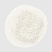 Thumbnail for PAUL MITCHELL_Clean Beauty - Color Protect Shampoo_Cosmetic World