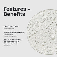 Thumbnail for PAUL MITCHELL_Shampoo One Everyday Wash - Balanced Clean_Cosmetic World