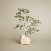 Thumbnail for PAUL MITCHELL_Tea Tree Firm Hold Gel_Cosmetic World