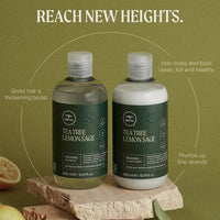 Thumbnail for PAUL MITCHELL - TEA TREE_Lemon Sage Thickening Conditioner_Cosmetic World