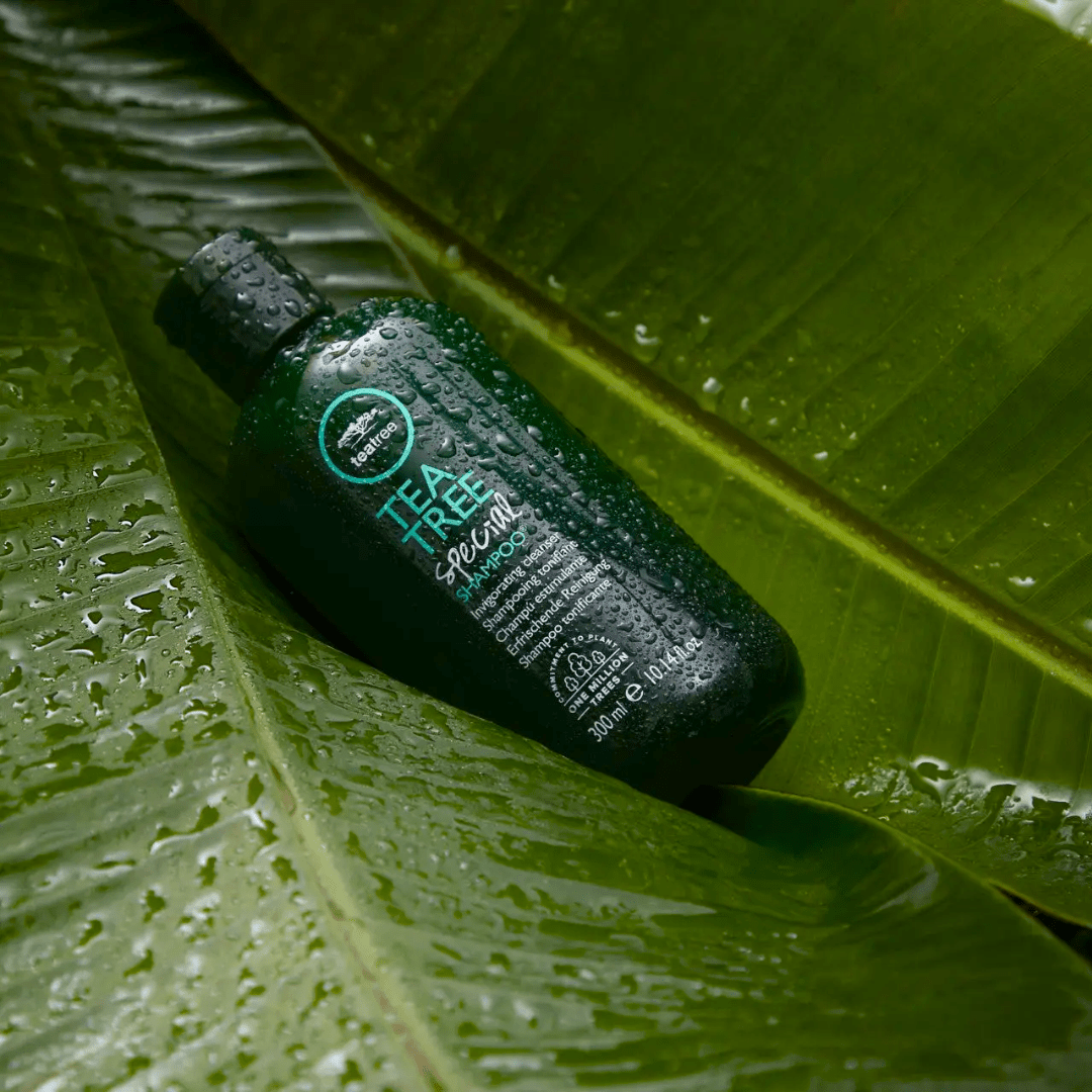 PAUL MITCHELL - TEA TREE_Tea Tree Special Shampoo_Cosmetic World