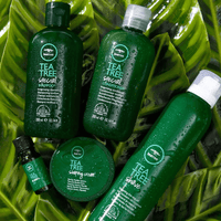 Thumbnail for PAUL MITCHELL - TEA TREE_Tea Tree Special Shampoo_Cosmetic World