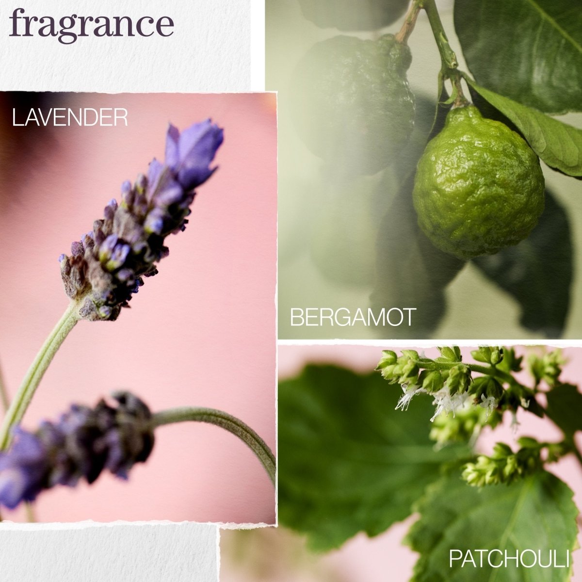 PUREOLOGY_Hydrate Glow Catcher Oil_Cosmetic World