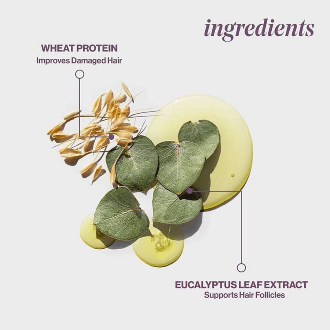 PUREOLOGY_Pure Volume Conditioner_Cosmetic World